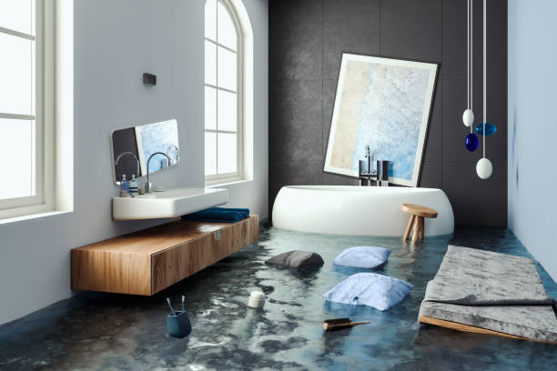 Best Water damage repair service  in North Augusta, SC
