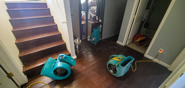 Best Mold removal after water damage  in North Augusta, SC