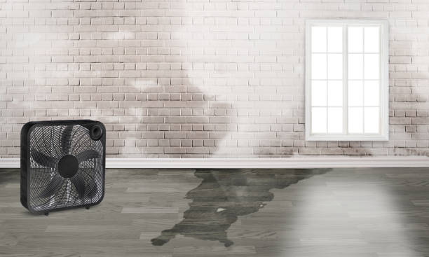 North Augusta, SC Water damage restoration Company