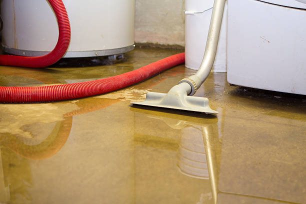 Best Fire Damage Restoration  in North Augusta, SC