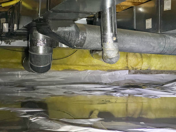 Best Flood damage cleanup  in North Augusta, SC
