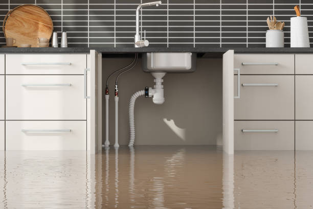 Best Water damage cleanup near me  in North Augusta, SC