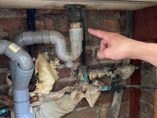 Best Water damage mitigation services  in North Augusta, SC