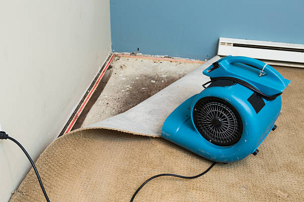 Best Local water damage restoration  in North Augusta, SC