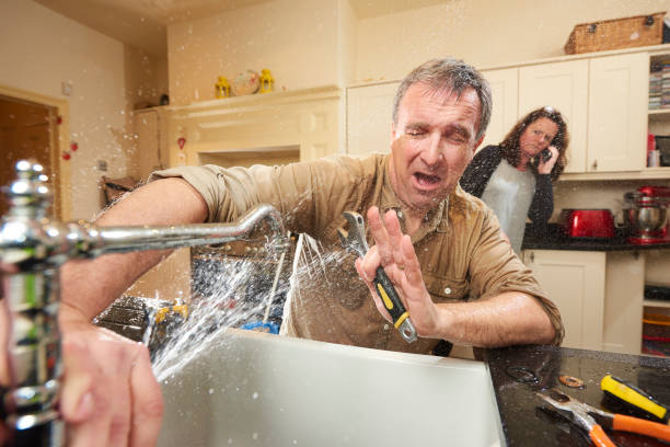 Best Flooded house restoration  in North Augusta, SC